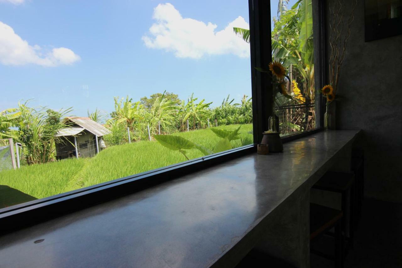 De Vir House Apartment Canggu  Ngoại thất bức ảnh