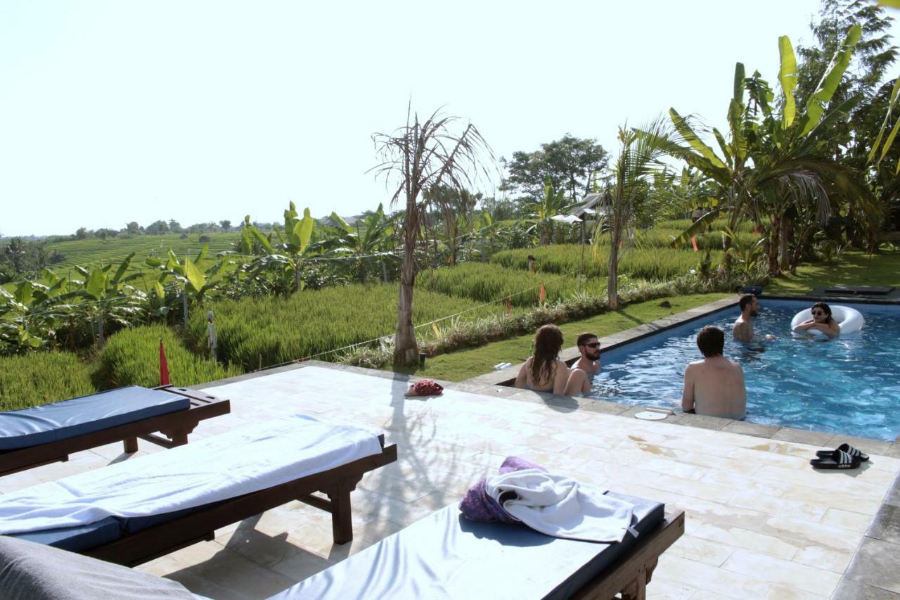 De Vir House Apartment Canggu  Ngoại thất bức ảnh